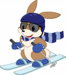 skiing_rabbit transparent